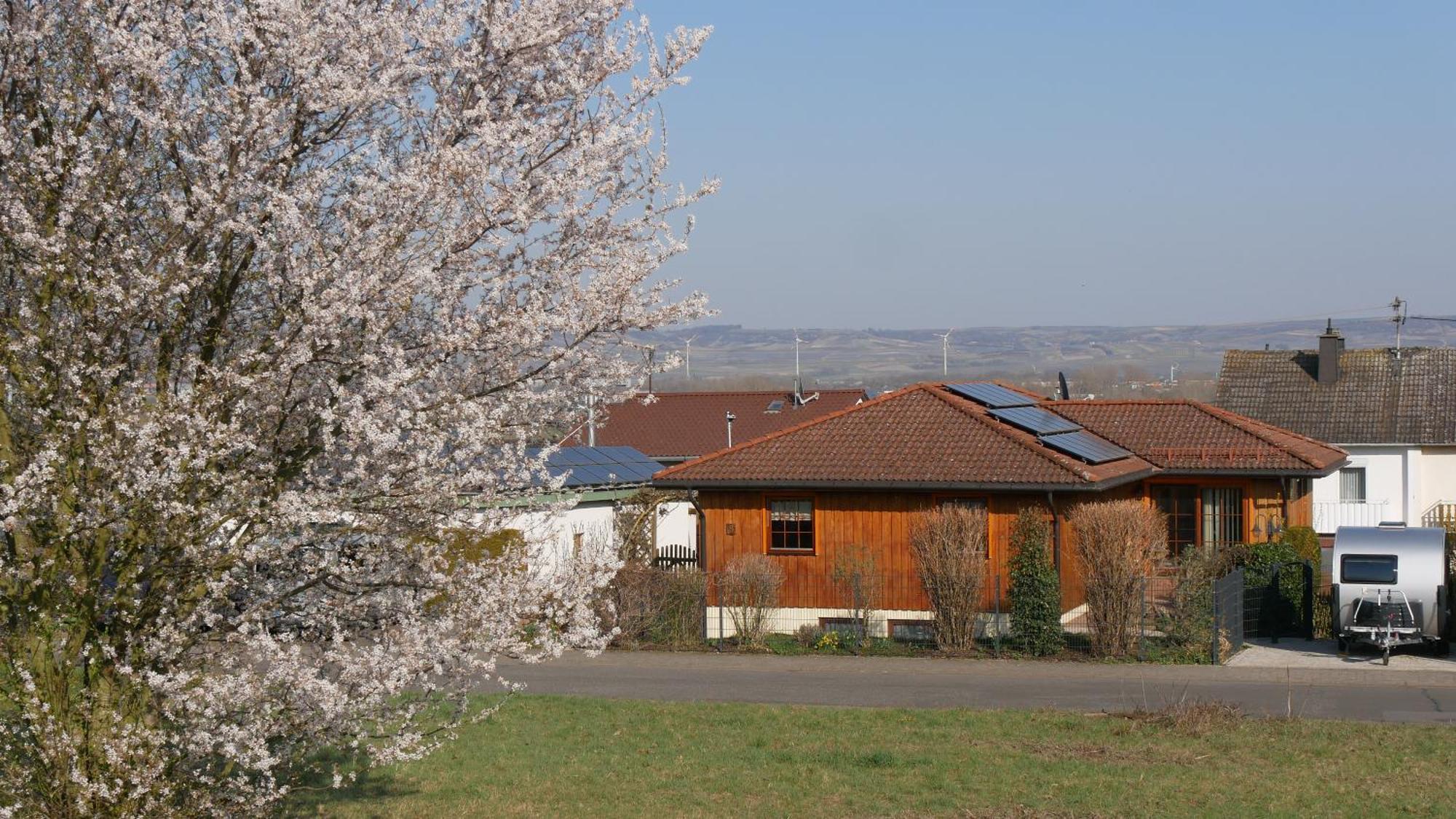 Ferienwohnung An Den Weingaerten Langenlonsheim Εξωτερικό φωτογραφία